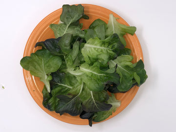 Two-Leaf Blend Salad Mix